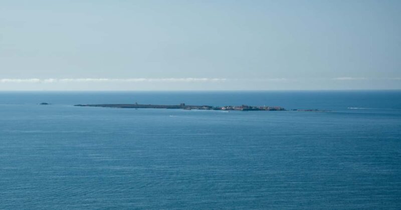 Torrevieja: Local Market and Panoramic Tour - Discover the Charms of Torrevieja on a 4.5-Hour Panoramic and Market Tour