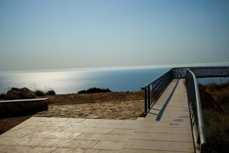 Torrevieja: Local Market and Panoramic Tour - Return Journey and Final Reflections at Alicante