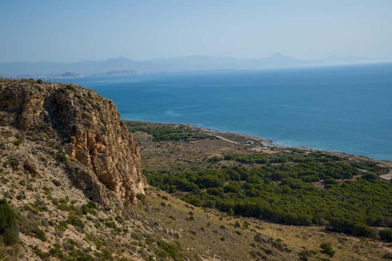 Torrevieja: Local Market and Panoramic Tour - The Sum Up: An Enjoyable Intro to Torrevieja’s Highlights