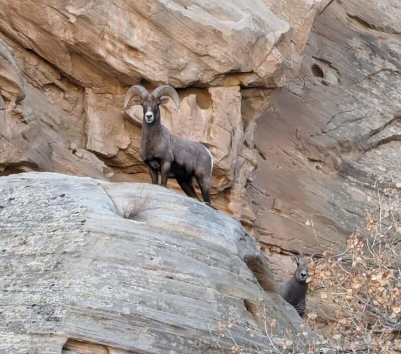 Torrey: Capitol Reef National Park Temples of the Sun & Moon - Key Points