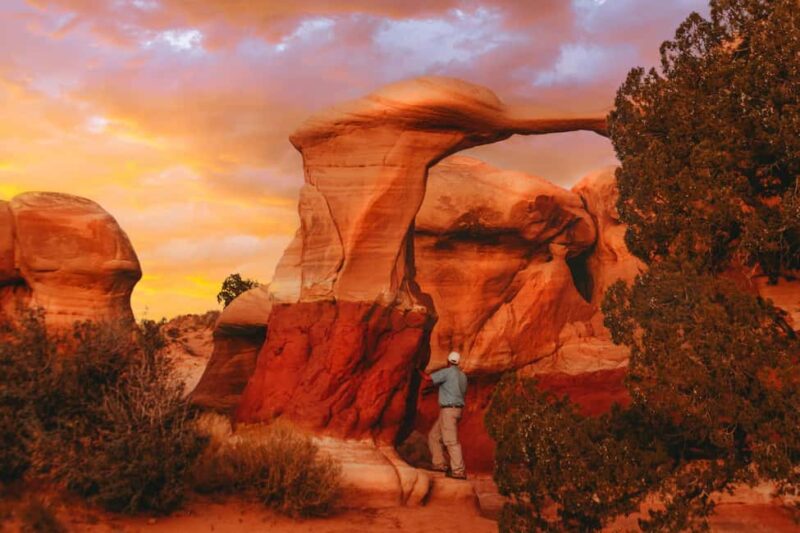 Torrey: Cosmic Ashtray, Devil's Garden, and Cedar Wash Tour - Discover Utah’s Unique Rock Formations with a Guided Tour from Torrey