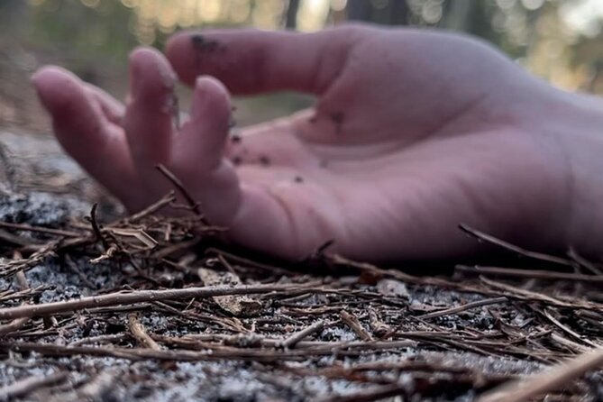 Torrid Tales True Crime Walking Tour of St Augustine - Key Points