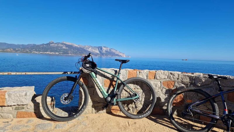 Tortolì Tour in ebike between pine forest and Saracen towers - Relaxing Break at Cea Bay with Sea Views and Tasty Food