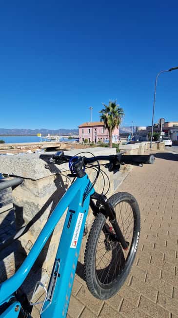 Tortolì Tour in ebike between pine forest and Saracen towers - Logistics, Group Size, and Practical Details