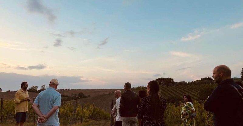 TOSCANA -Guided Tour, Wine Tasting, and Local/Syrian Bites - Key Points