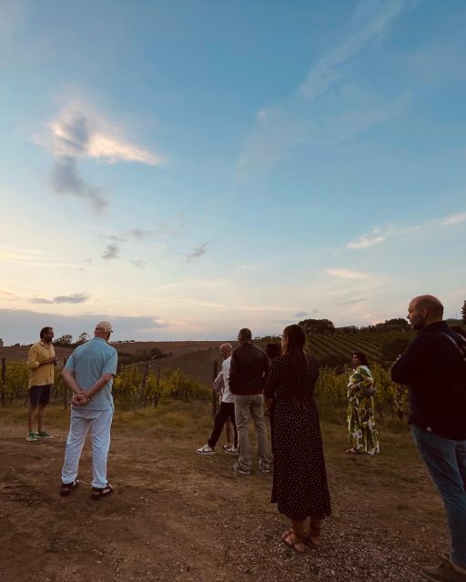 TOSCANA -Guided Tour, Wine Tasting, and Local/Syrian Bites - Meet at La Chimera DAlbegna in Tuscany