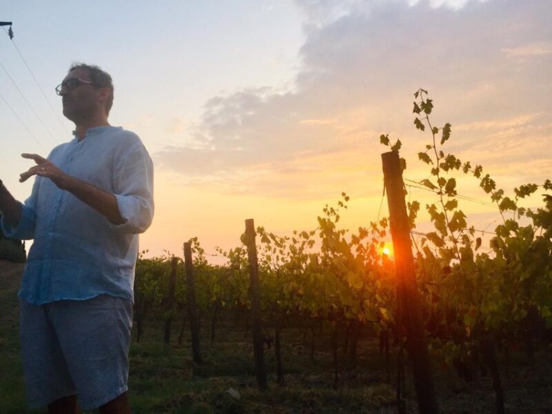 TOSCANA -Guided Tour, Wine Tasting, and Local/Syrian Bites - Wine Tasting in the Cantina with Local Products