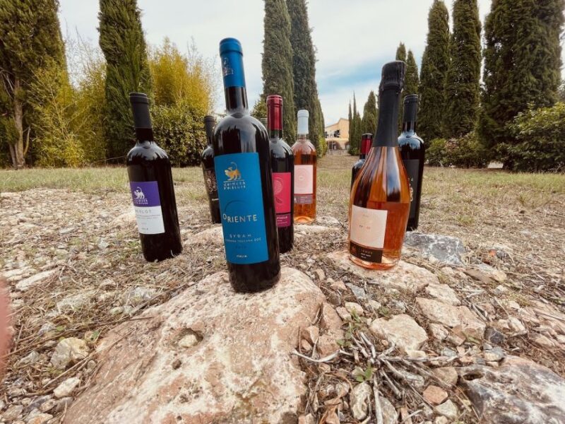 TOSCANA -Guided Tour, Wine Tasting, and Local/Syrian Bites - Languages and Accessibility