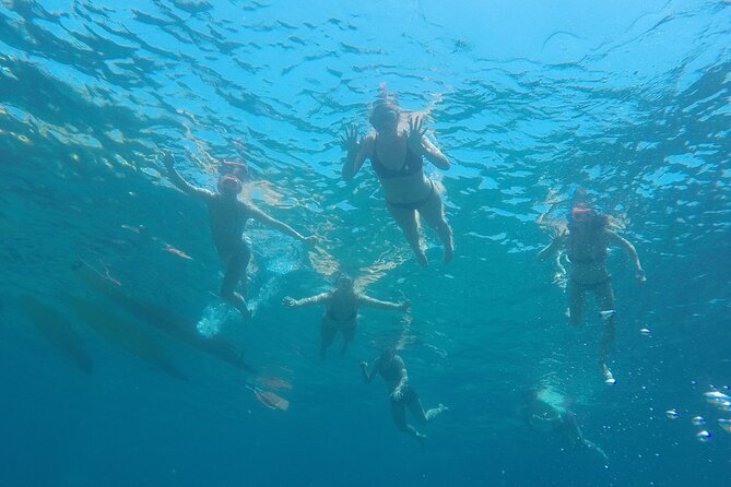 Tossa de Mar: Kayak & Snorkel Tour with Paella from Barcelona - Kayaking Along the Costa Brava: Caves, Coves, and Wildlife Spotting