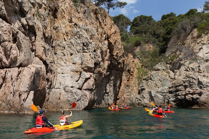 Tossa de Mar: Kayak & Snorkel Tour with Paella from Barcelona - Lunch with a View: Authentic Paella in Tossa de Mar