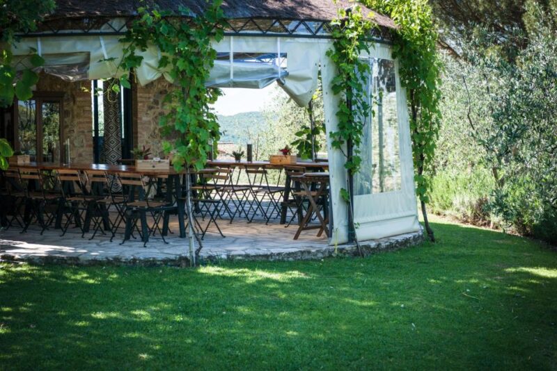 Total Immersion Experience Italian version - Visiting Montemaggio: A Family-Run Biological Cellar in Tuscany