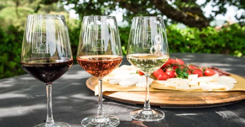 Total Immersion Experience Italian version - Tasting Seven Authentic Wines with Food Pairings