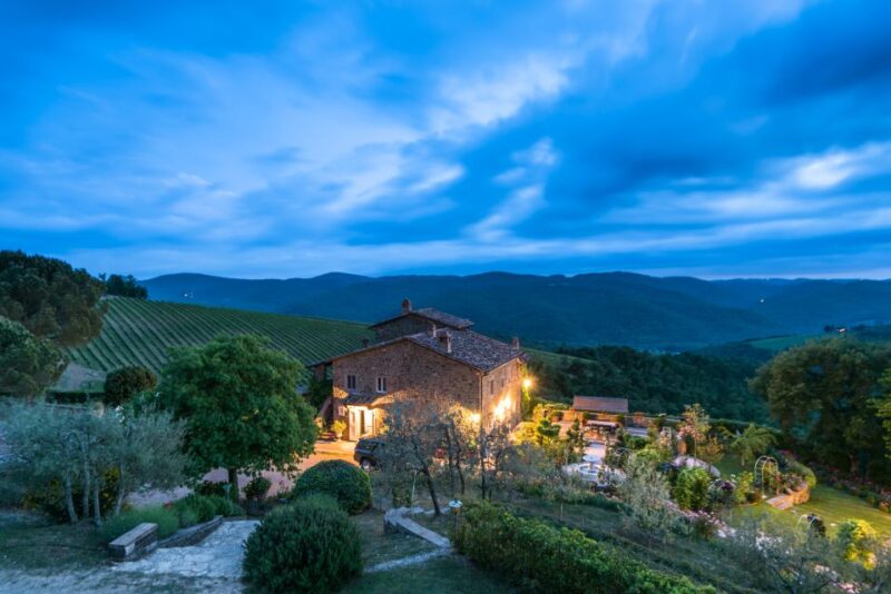 Total Immersion Wine Tour in Chianti - Key Points