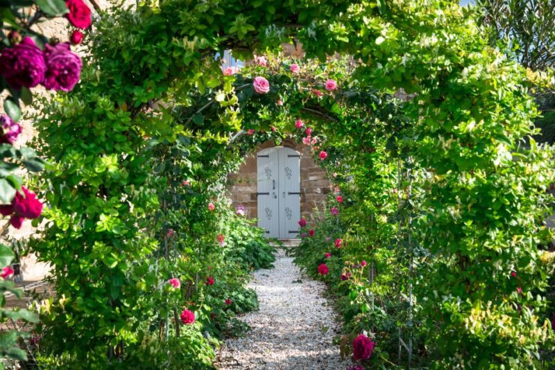 Total Immersion Wine Tour in Chianti - Exploring the Montemaggio Estate and Its Views