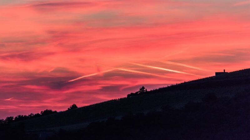 Total Immersion Wine Tour in Chianti - Comparing the Experience with Other Tuscany Tours