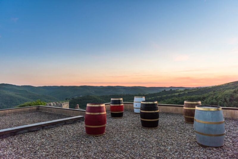 Total Immersion Wine Tour in Chianti - Who Will Appreciate This Tour Most?