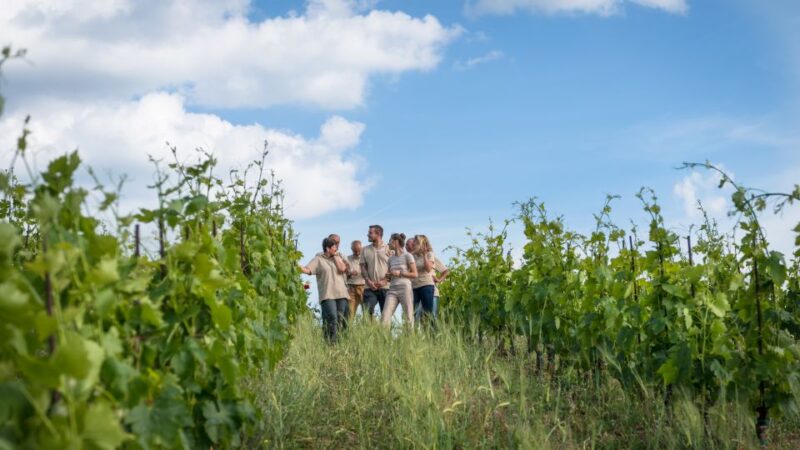 Total Immersion Wine Tour in Chianti - Chianti Organic Winery Tour: Final Thoughts