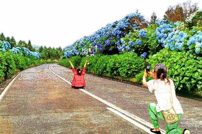 Totally personalized private tour to Sete Cidades and Lagoa do Fogo (west) - Discover Ribeira Grande’s Charm and Local Flavors