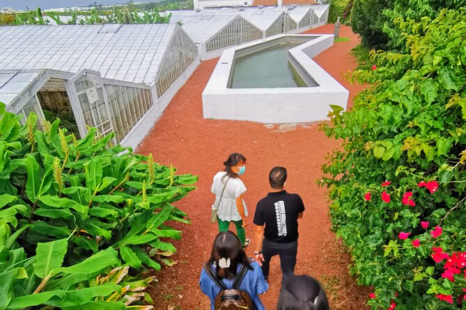 Totally personalized private tour to Sete Cidades and Lagoa do Fogo (west) - Relaxing in the Caldeira Velha Thermal Park