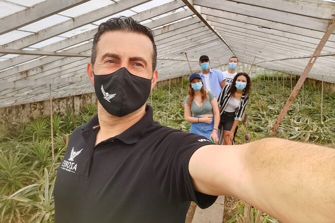 Totally personalized private tour to Sete Cidades and Lagoa do Fogo (west) - Visit to Plantação Ananases A Arruda for Pineapple Cultivation Insights