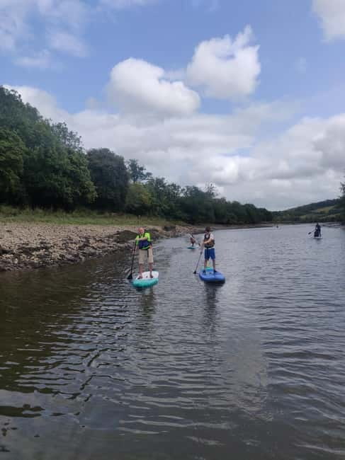 Totnes: Paddleboard adventure on the River Dart - Key Points