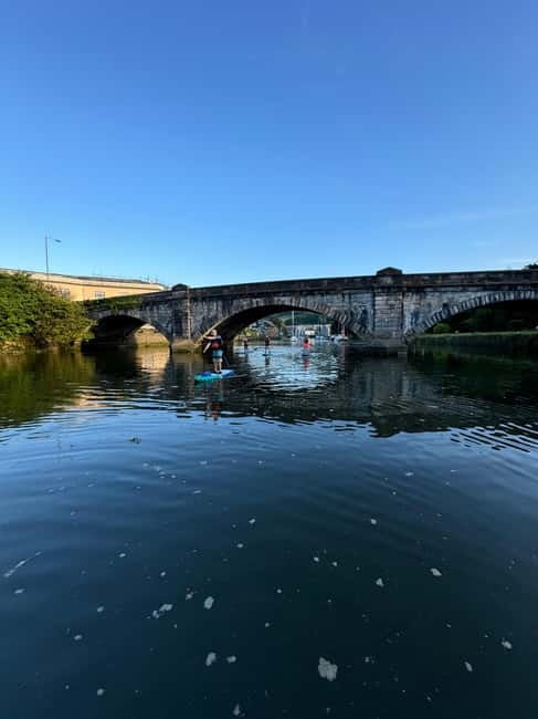 Totnes: Paddleboard adventure on the River Dart - Safety Briefing and Equipment Provided