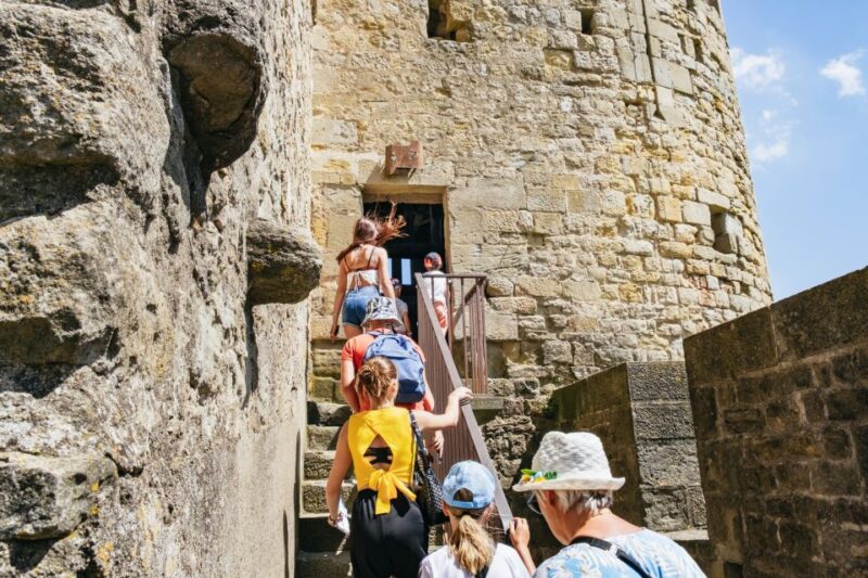 Toulouse: Carcassonne Day Trip by Coach with Audioguide - Timing, Pacing, and Free Time