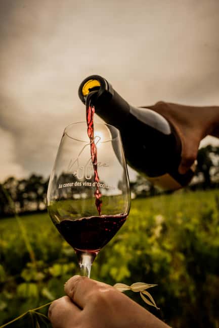 Toulouse Center: Southwestern Wine Tasting Workshop - Explore the Authentic Wines of Southwestern France in Toulouse