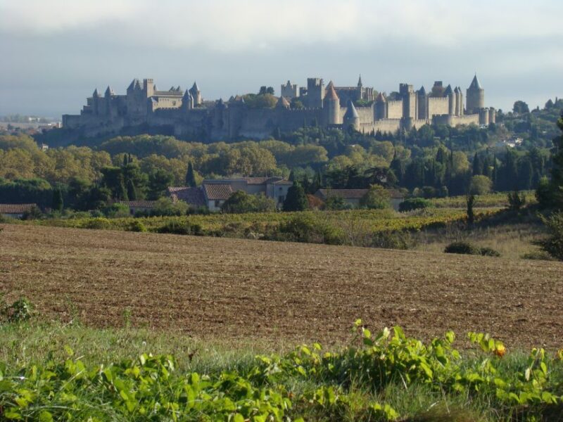 Toulouse to Carcassonne & Albi: Private Sightseeing Tour - Comfortable Travel in an Electric Car