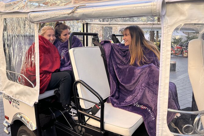Toulouse Tour in Electric Tuk Tuk - Toulouse in a Nutshell: An Eco-Friendly, Private Experience