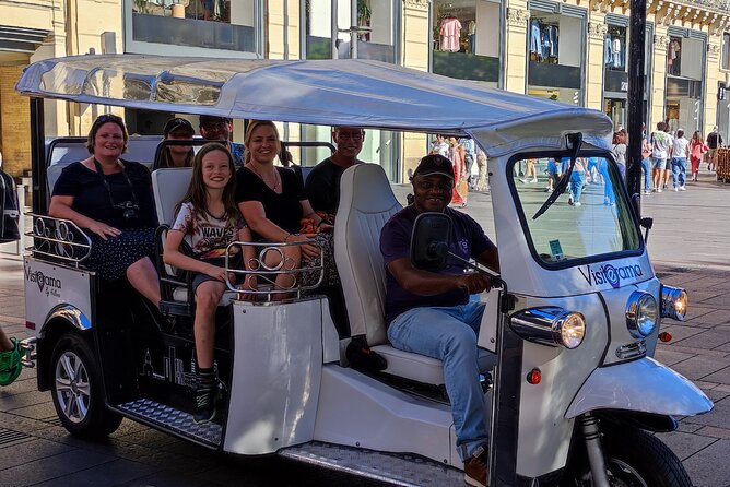 Toulouse Tour in Electric Tuk Tuk - Delving into Toulouse’s Cultural and Artistic Heritage