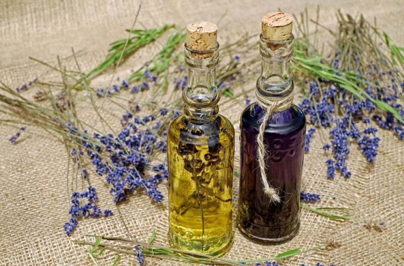 Toulouse Violet Discovery & Hands-On Perfume Workshop - Guided Scent Exploration with a Local Perfumer