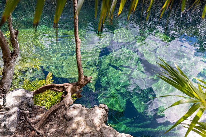 Tour 4 Cenotes Casa Tortuga Tulum. Food + Zipline. Includes Pickup. - Discover the Four Cenotes of Casa Tortuga