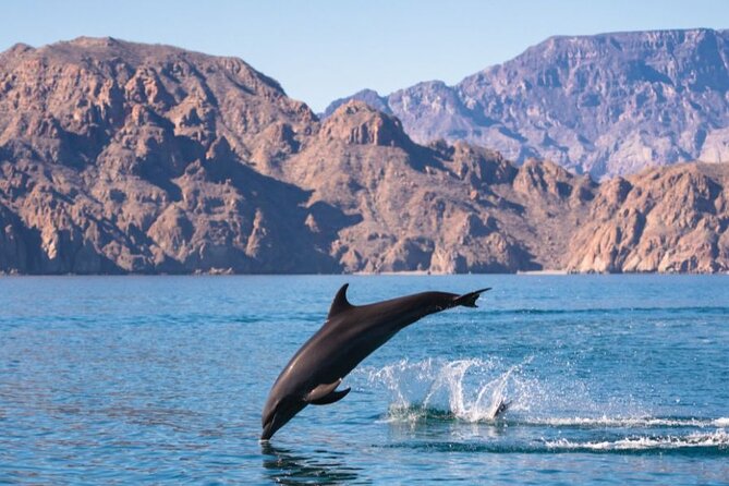 Tour a la Isla Coronados con actividad de esnorquel - Meeting Point and Accessibility