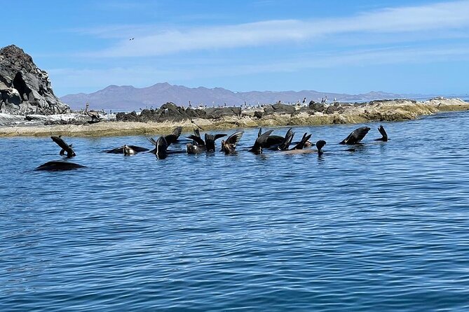 Tour a la Isla Coronados con actividad de esnorquel - The Guide Experience and Customer Feedback
