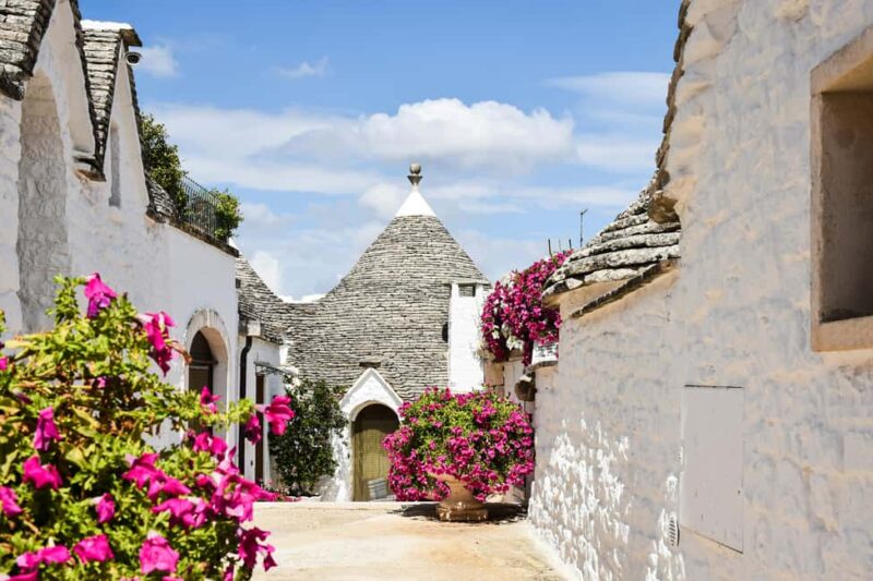 Tour: Alberobello Trulli, Monopoli, and Polignano a Mare - history and culture - Who Should Book This Tour?