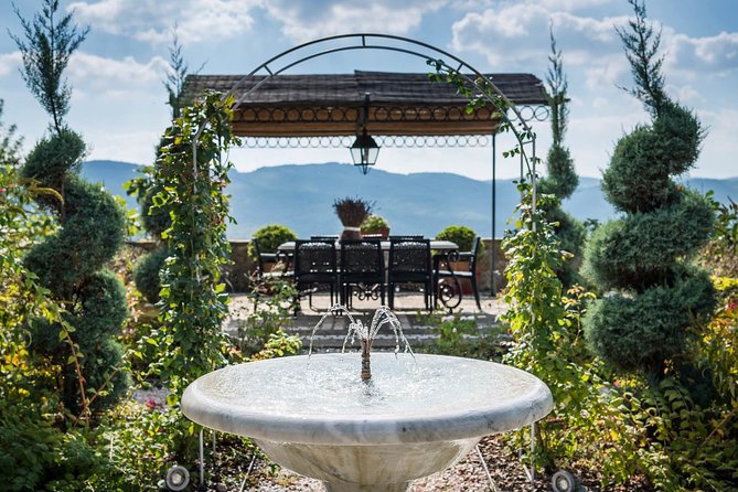 Tour and Tasting at an Organic Winery in the Heart of Chianti Classico Area - The Role of Francesco as a Guide