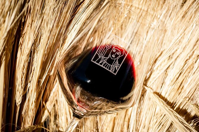 Tour and Tasting at an Organic Winery in the Heart of Chianti Classico Area - The Unique Location and Scenic Views