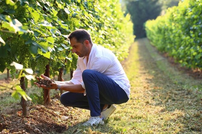 Tour and tasting in the hills of Prosecco Superiore DOCG - Why This Tour Stands Out in the Prosecco Region