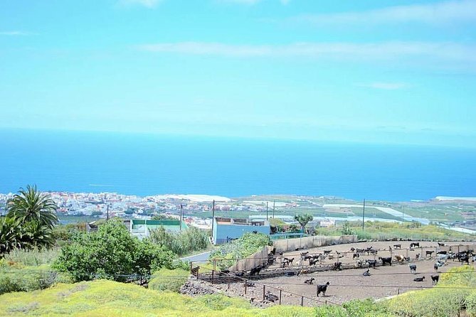 Tour Around the Island - Private VIP Tour in Tenerife - Drive Through El Palmar Valley’s Agriculture