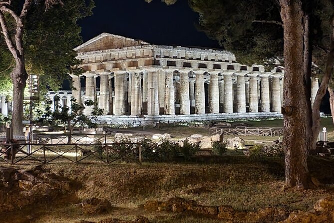 Tour at the Temples and the National Museum of Paestum - Walking Through the Ruins of Ancient Poseidonia