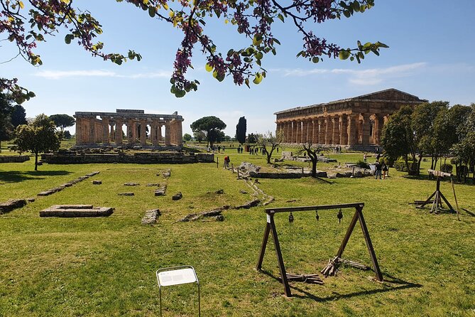 Tour at the Temples and the National Museum of Paestum - The Expertise of Guide Roberta Avilia