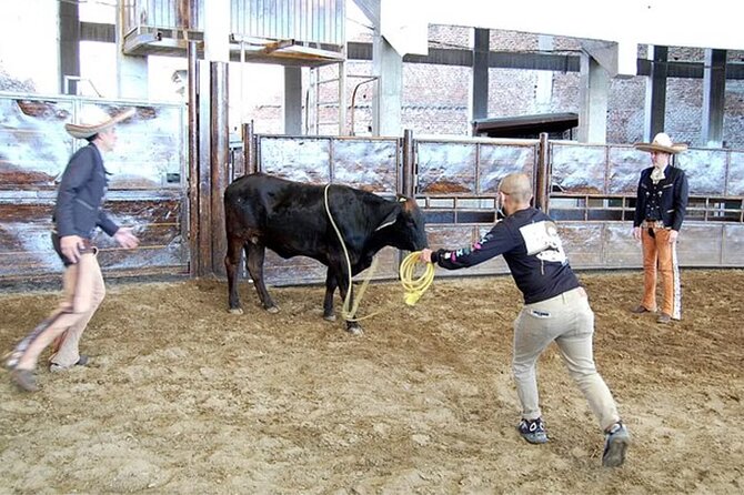 Tour between Charros, Mariachi and Tlaquepaque - Logistics and Comfort: Transportation and Group Size