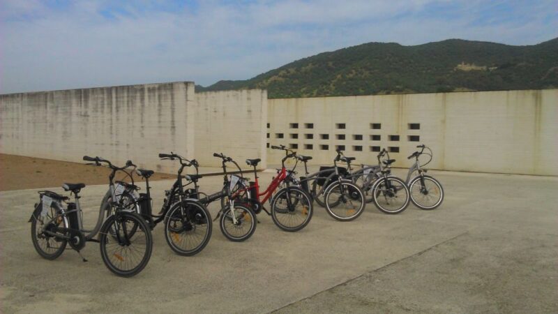 Tour bicicleta a Medina Azahara - Discovering Medina Azaharas Ruins and Museum