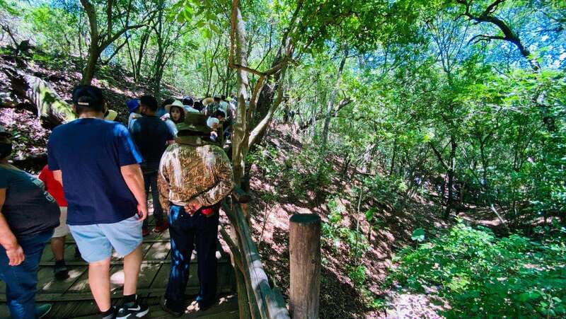 Tour "Bioparque" + Traslados + Tickets incluidos - Accessibility and Practical Tips for Visitors