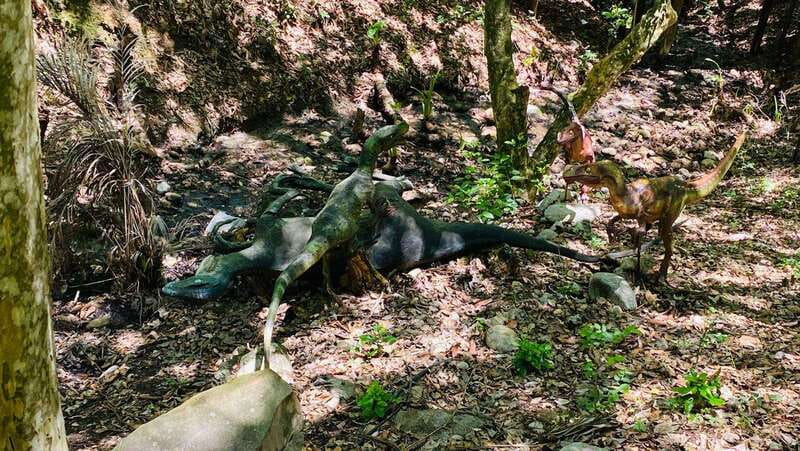 Tour "Bioparque" + Traslados + Tickets incluidos - Comparing Similar Experiences in Monterrey