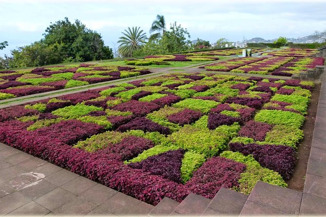 Tour Cable Car Toboggan Tropical Garden and Skywalk - Exploring Câmera de Lobos’ Fishing Village