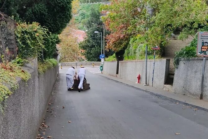Tour Cable Car Toboggan Tropical Garden and Skywalk - Physical Requirements and Accessibility