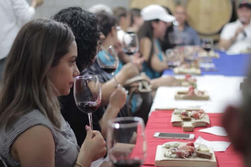 Tour+ Cata 3 vinos / Tour + 3 wine tasting - The Selection of Wines: Traditional and Young Lines