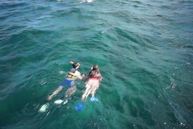 Tour Catamaran Isla Mujeres With Open Bar - Value and Booking Considerations